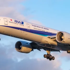 ANA Flight Makes Emergency Landing After Passenger Tries to Open Mid-Air Exit Door