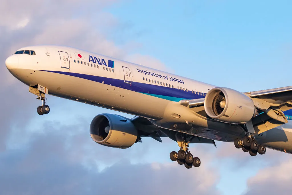 ANA Flight Makes Emergency Landing After Passenger Tries to Open Mid-Air Exit Door