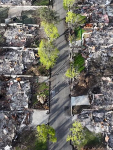 California Approves State Farm’s Emergency Rate Hike After Wildfires, Sparking Backlash From Survivors