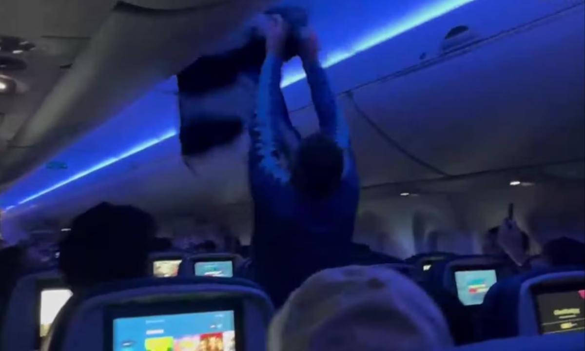 Delta Flight to Madison Delayed After Two Rogue Pigeons Spark Mid-Cabin Chaos and Passenger Panic