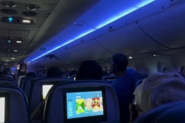 Delta Flight to Madison Delayed After Two Rogue Pigeons Spark Mid-Cabin Chaos and Passenger Panic