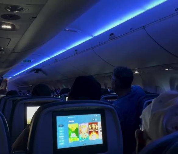 Delta Flight to Madison Delayed After Two Rogue Pigeons Spark Mid-Cabin Chaos and Passenger Panic