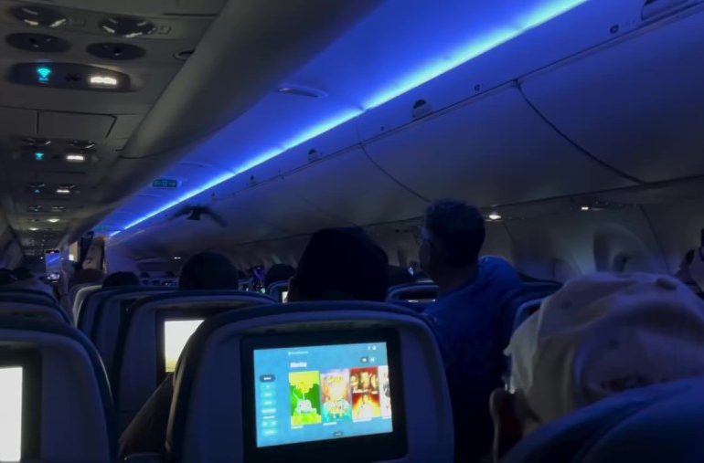 Delta Flight to Madison Delayed After Two Rogue Pigeons Spark Mid-Cabin Chaos and Passenger Panic
