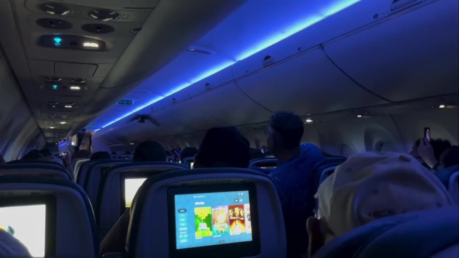 Delta Flight to Madison Delayed After Two Rogue Pigeons Spark Mid-Cabin Chaos and Passenger Panic
