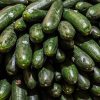 Salmonella Outbreak Linked to Recalled Cucumbers Sparks Hospitalizations Across 18 States and Cruise Ships
