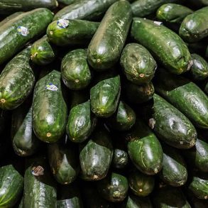 Salmonella Outbreak Linked to Recalled Cucumbers Sparks Hospitalizations Across 18 States and Cruise Ships