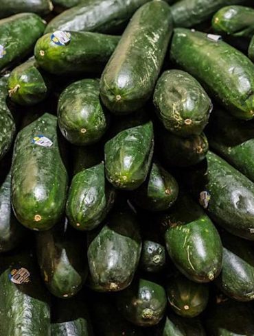 Salmonella Outbreak Linked to Recalled Cucumbers Sparks Hospitalizations Across 18 States and Cruise Ships