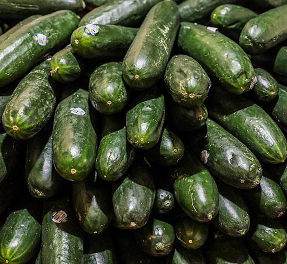 Salmonella Outbreak Linked to Recalled Cucumbers Sparks Hospitalizations Across 18 States and Cruise Ships