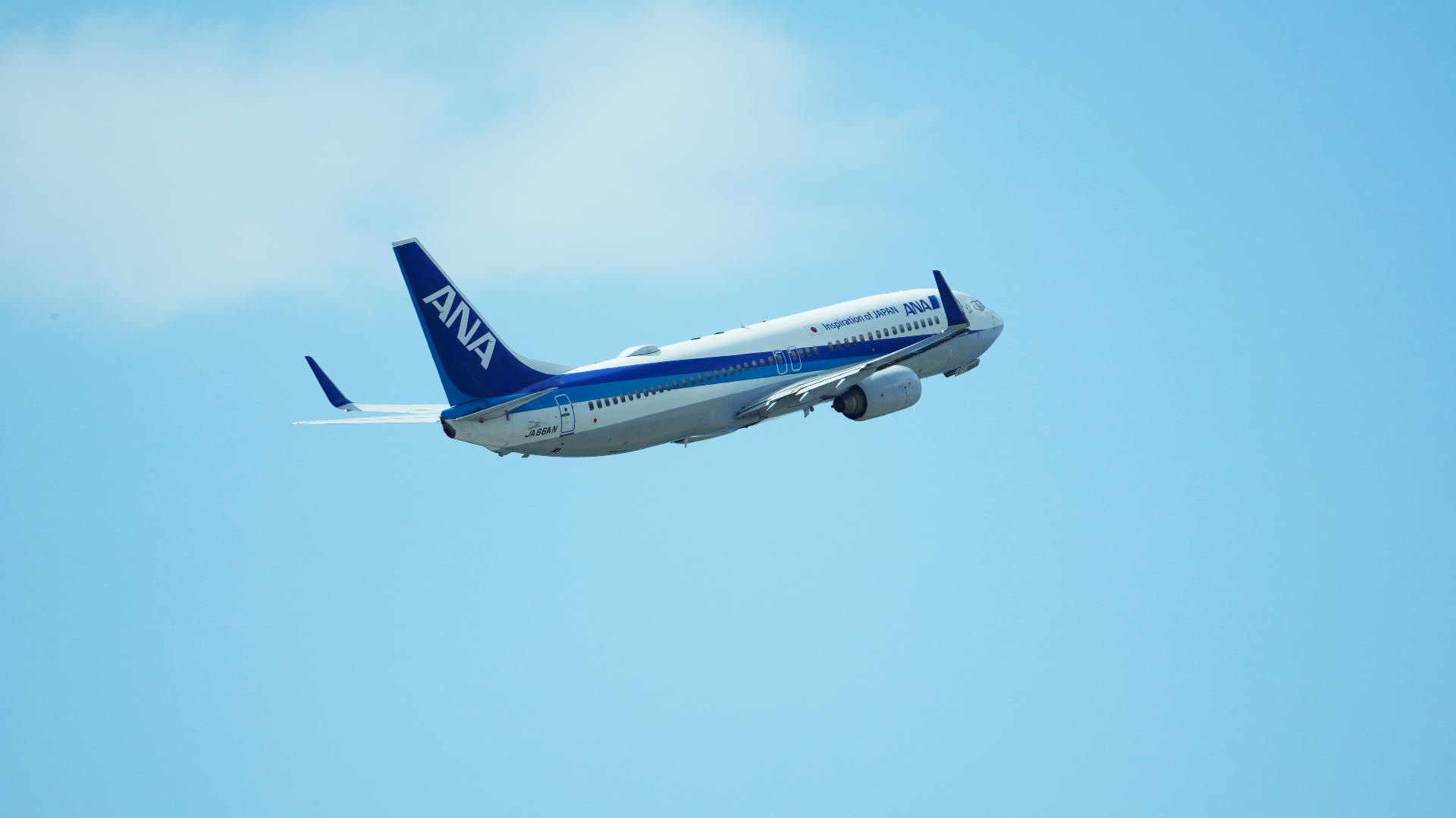 Tokyo-to-Houston Flight Diverts to Seattle After Passenger Tries to Open Exit Mid-Air