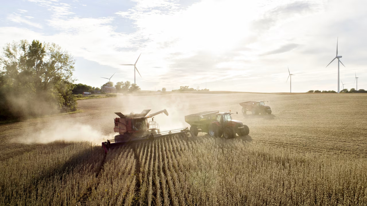 Trade Deadlock with China Pushes U.S. Soybean Farmers Toward Steep Export Decline