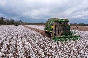 Trade Deadlock with China Pushes U.S. Soybean Farmers Toward Steep Export Decline