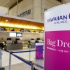 Cyberattacks Hit WestJet and Hawaiian Airlines as Scattered Spider Targets Aviation Sector
