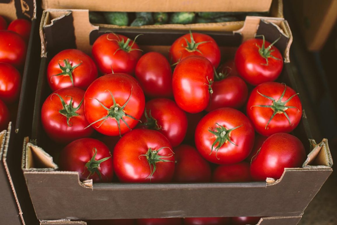FDA Issues Class I Recall for Tomatoes in Three States Over Salmonella Contamination Risk
