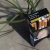 France Bans Smoking in Parks and Beaches to Protect Children, But Critics Say Law Doesn’t Go Far Enough