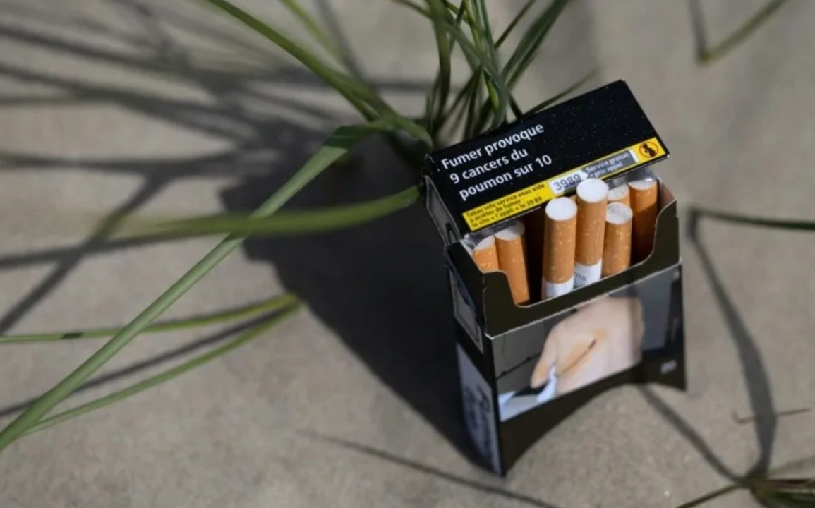 France Bans Smoking in Parks and Beaches to Protect Children, But Critics Say Law Doesn’t Go Far Enough