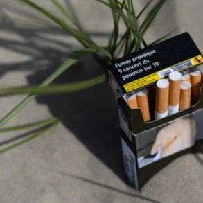 France Bans Smoking in Parks and Beaches to Protect Children, But Critics Say Law Doesn’t Go Far Enough