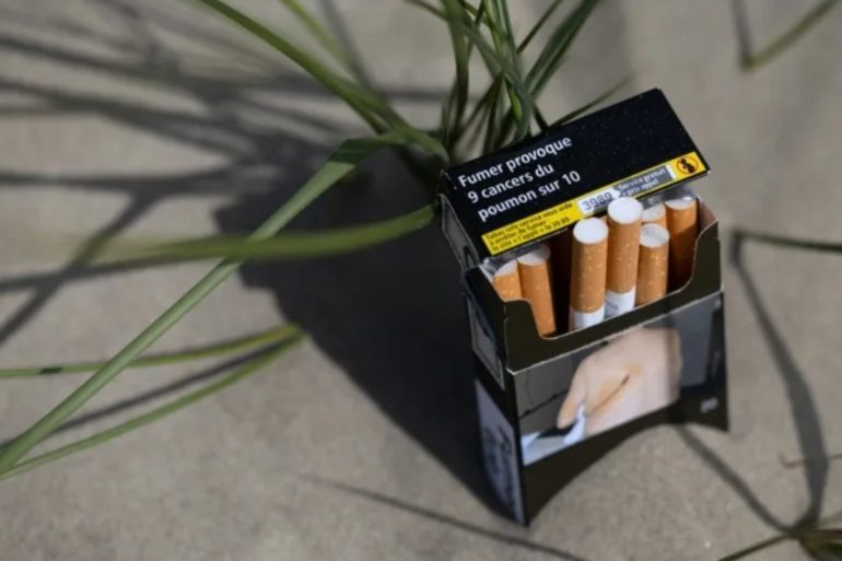 France Bans Smoking in Parks and Beaches to Protect Children, But Critics Say Law Doesn’t Go Far Enough