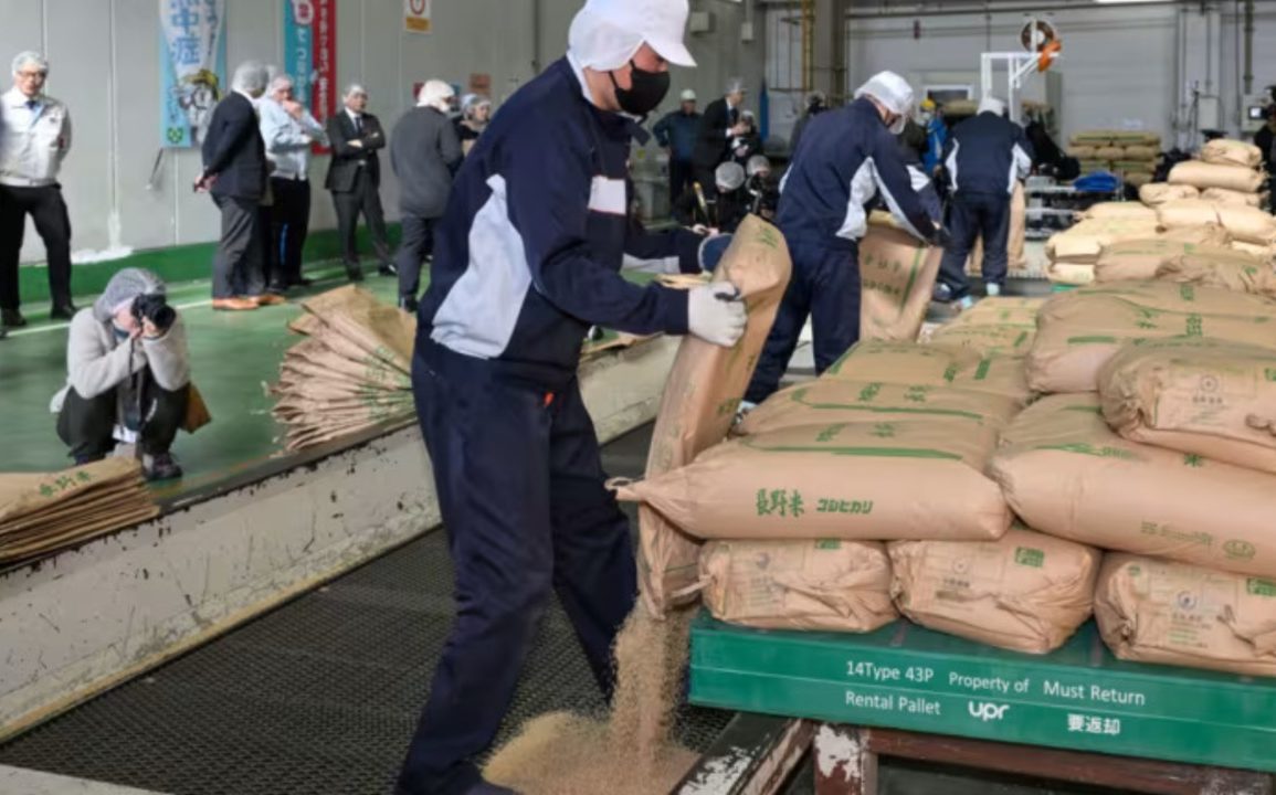 Japan’s Rice Prices Double in Record Surge, Driving Inflation and Testing Economic Stability