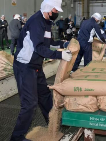 Japan’s Rice Prices Double in Record Surge, Driving Inflation and Testing Economic Stability