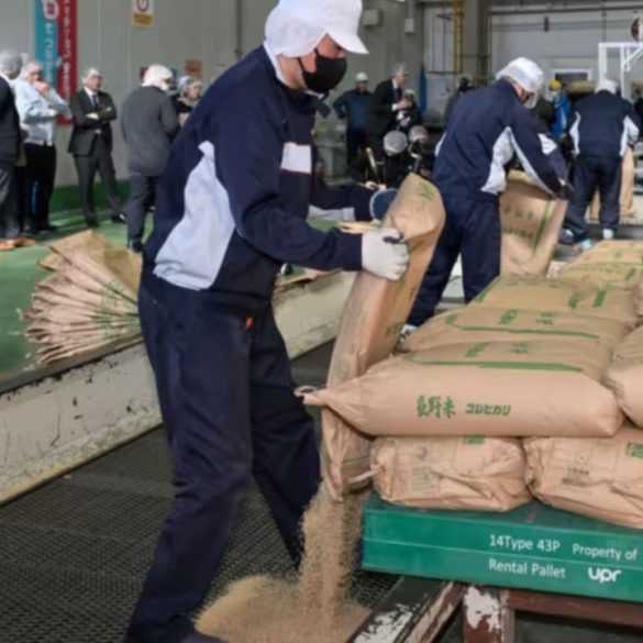 Japan’s Rice Prices Double in Record Surge, Driving Inflation and Testing Economic Stability