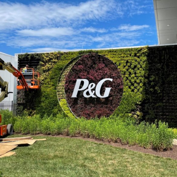 P&G to Cut 7,000 Jobs and Raise Prices as Tariff Pressures Reshape Strategy