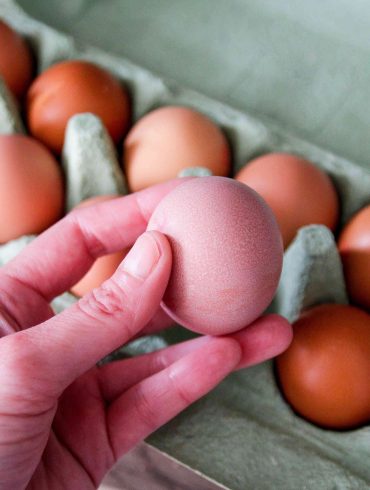 Salmonella Outbreak Linked to August Egg Company Triggers Recall of 1.7 Million Dozen Eggs