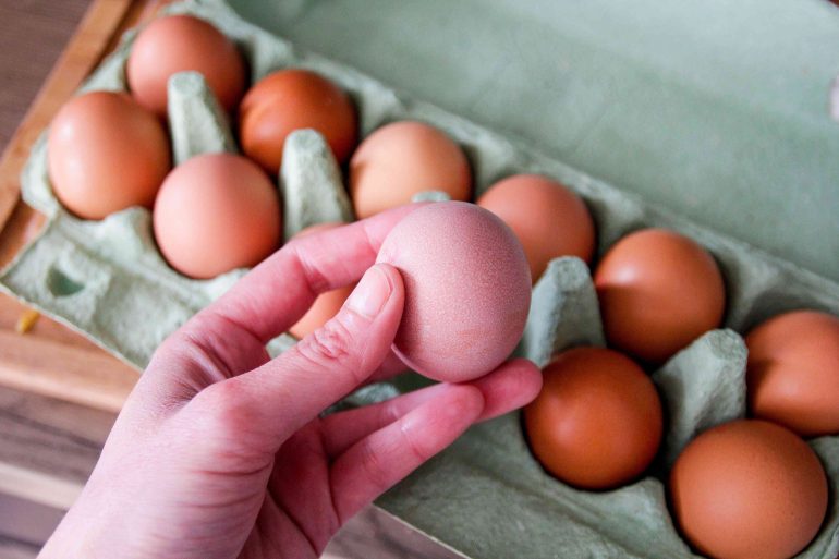 Salmonella Outbreak Linked to August Egg Company Triggers Recall of 1.7 Million Dozen Eggs