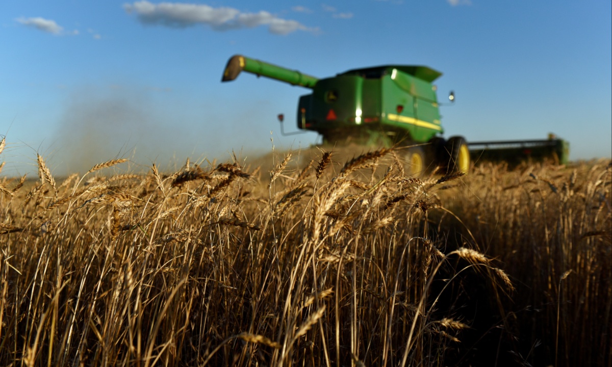 Wheat Farmers Abandon Fields as Global Glut and Low Prices Crush Profit Margins