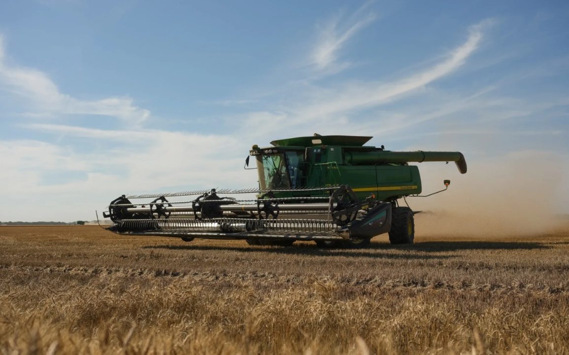 Wheat Farmers Abandon Fields as Global Glut and Low Prices Crush Profit Margins