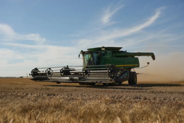 Wheat Farmers Abandon Fields as Global Glut and Low Prices Crush Profit Margins