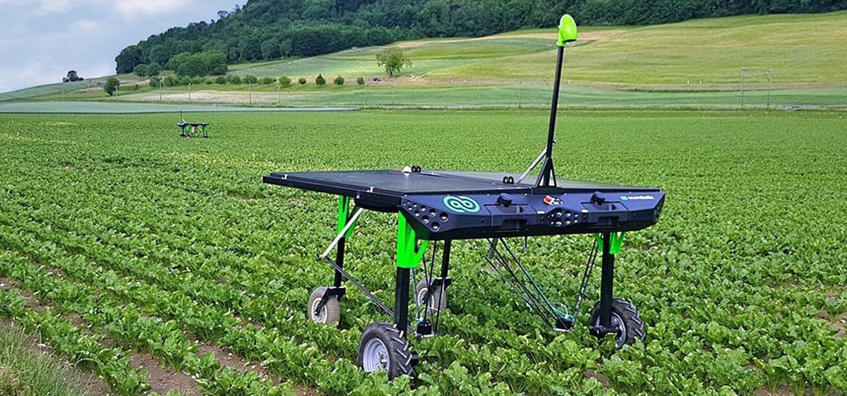 AI-Powered Farming Robot Promises Cleaner Weed Control and Sustainable Jobs Without Herbicides