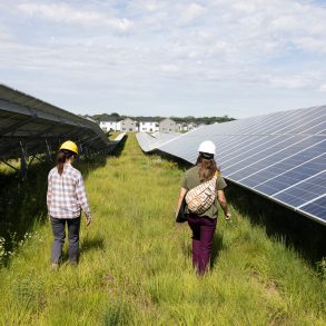 Republican Tax Bill Threatens Thousands of Solar Jobs as Clean Energy Leaders Warn of Industry Collapse