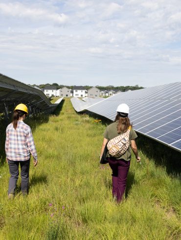 Republican Tax Bill Threatens Thousands of Solar Jobs as Clean Energy Leaders Warn of Industry Collapse