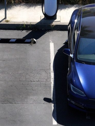 Senate Pushes to End EV Tax Credits by September, Sparking Rush and Climate Concerns